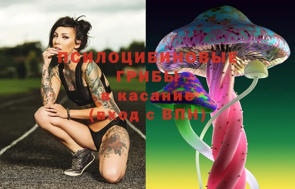 гидропоника Бутурлиновка