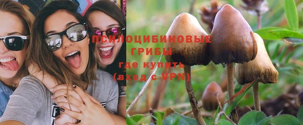 гидропоника Бутурлиновка