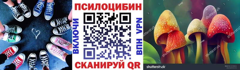 закладка  Ейск  Псилоцибиновые грибы прущие грибы 