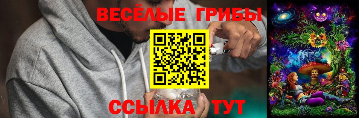 Галлюциногенные грибы Cubensis  Ейск 